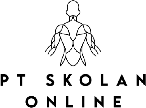 PT-Skolan Online logo